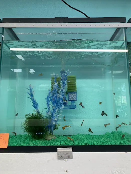 Fish World Picture 7