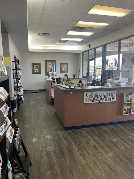 Sun Lakes Chandler Animal Clinic Picture 2