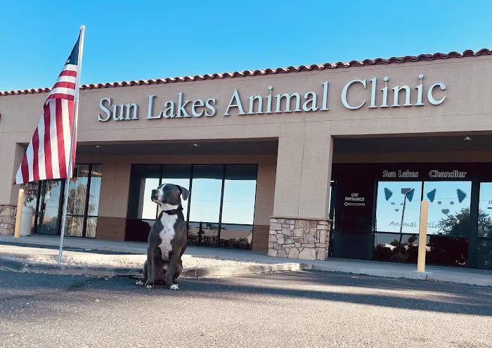 Sun Lakes Chandler Animal Clinic Picture 9
