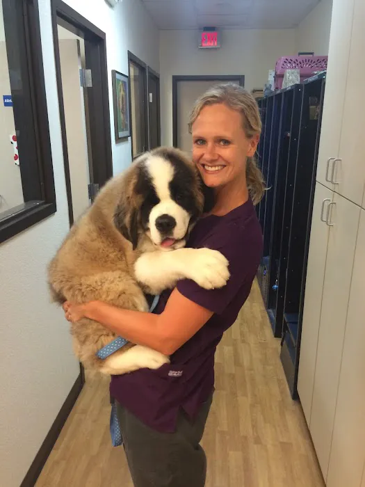 Sun Lakes Chandler Animal Clinic Picture 10