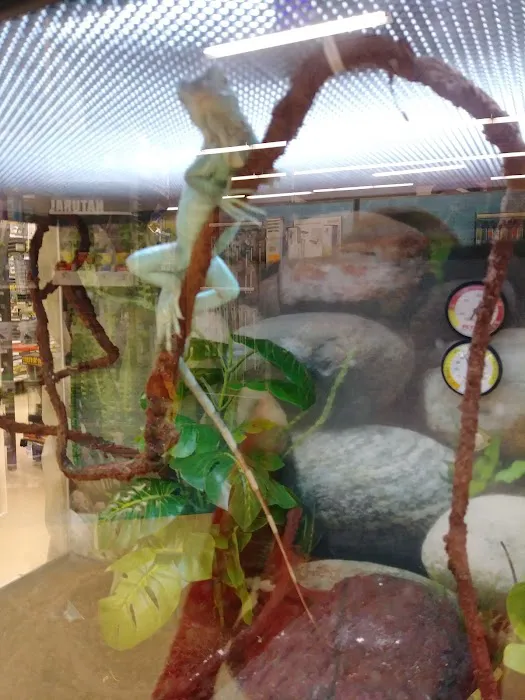 Petco Picture 3