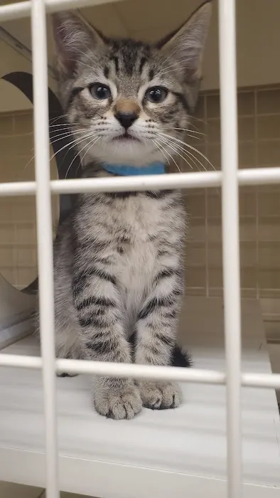 Petco Picture 10