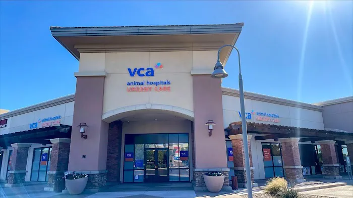 VCA Animal Hospitals Urgent Care - Chandler Picture 5