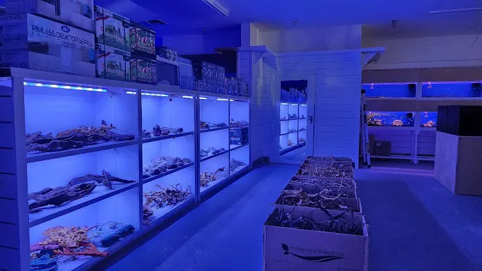 Reef Lounge Norco Picture 1