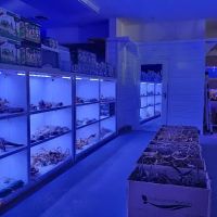 Reef Lounge Norco ico