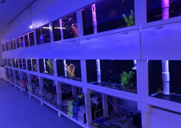 Reef Lounge Norco Picture 4