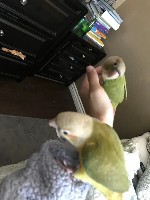 Brian's Exotic Birds Picture 1