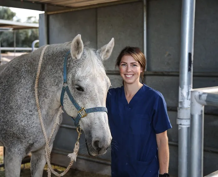 Arizona Equine Medical & Surgical Centre Picture 7