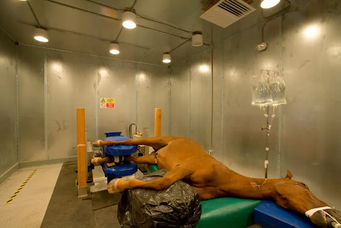 Arizona Equine Medical & Surgical Centre Picture 9