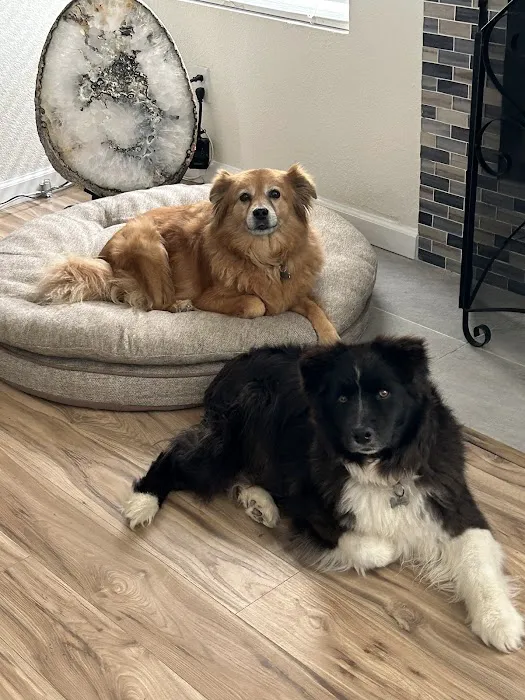Gilbert Veterinary Hospital Picture 8