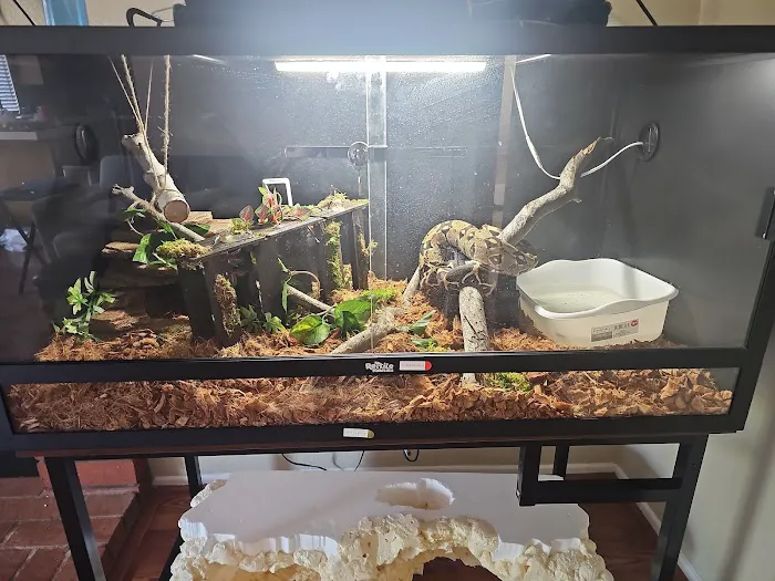 Corona Reptiles & Kritters Picture 1