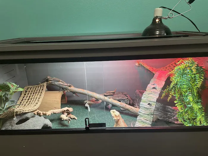 Corona Reptiles & Kritters Picture 9