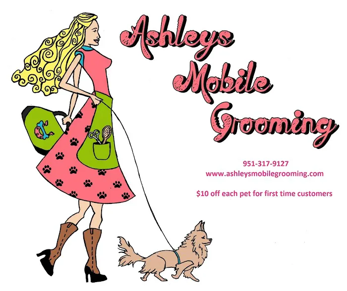 Ashley’s pet grooming Picture 1
