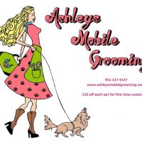 Ashley’s pet grooming ico