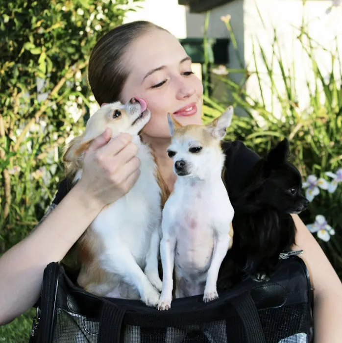 Ashley’s pet grooming Picture 3