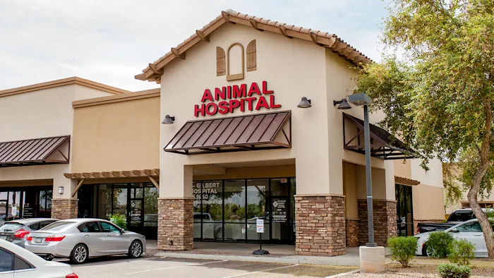 Chandler Gilbert Animal Hospital Picture 5
