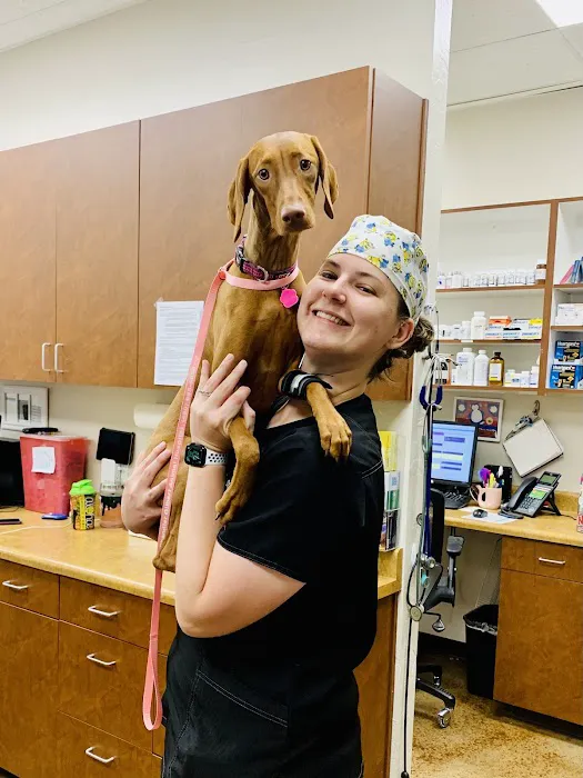 Chandler Gilbert Animal Hospital Picture 1
