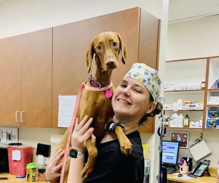Chandler Gilbert Animal Hospital