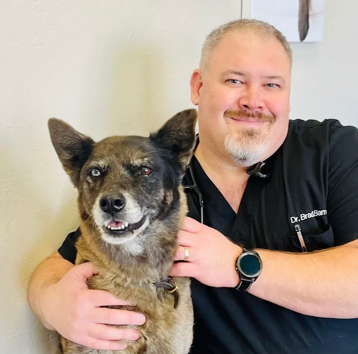 Chandler Gilbert Animal Hospital Picture 8