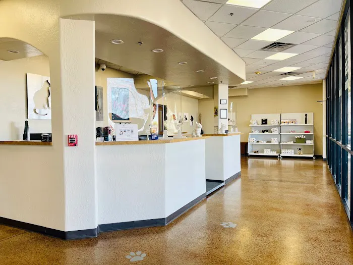 Chandler Gilbert Animal Hospital Picture 9