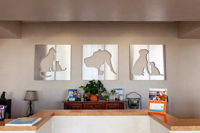 Chandler Gilbert Animal Hospital Picture 10
