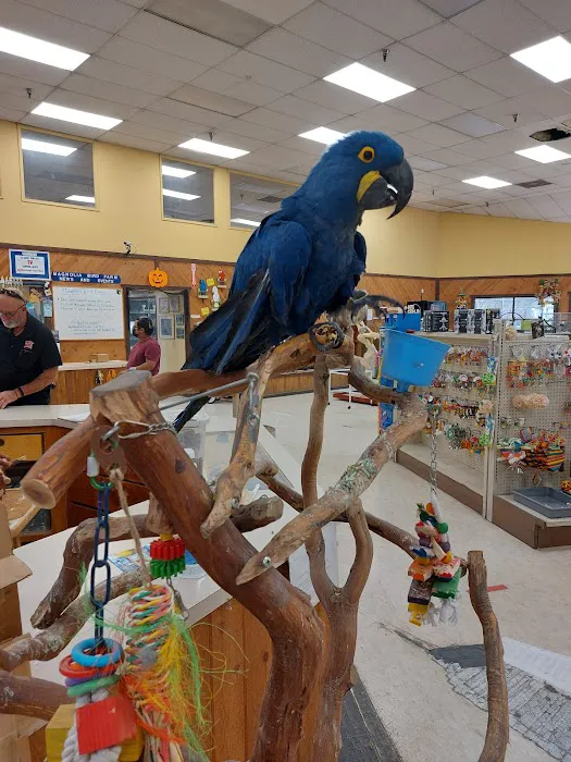 Magnolia Bird Farm Picture 7