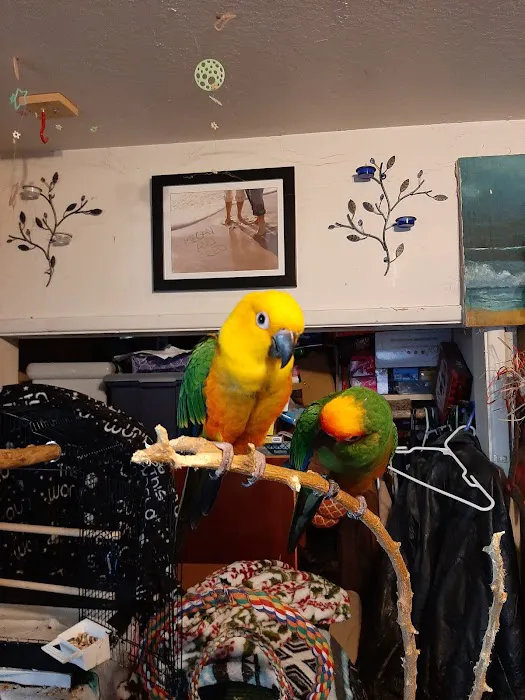 Magnolia Bird Farm Picture 4
