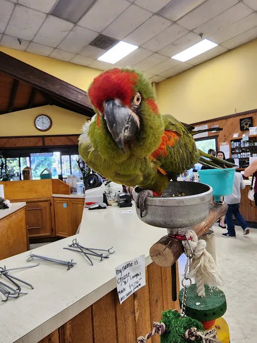 Magnolia Bird Farm Picture 9