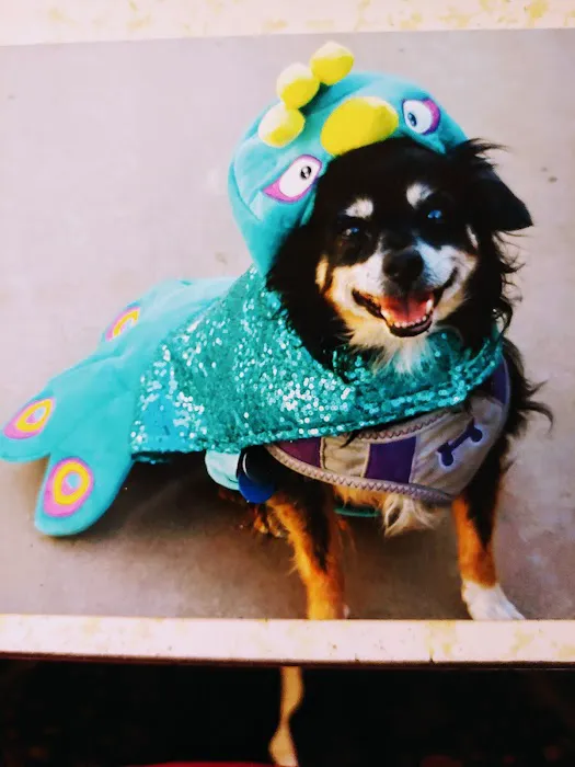 Banfield Pet Hospital Picture 7