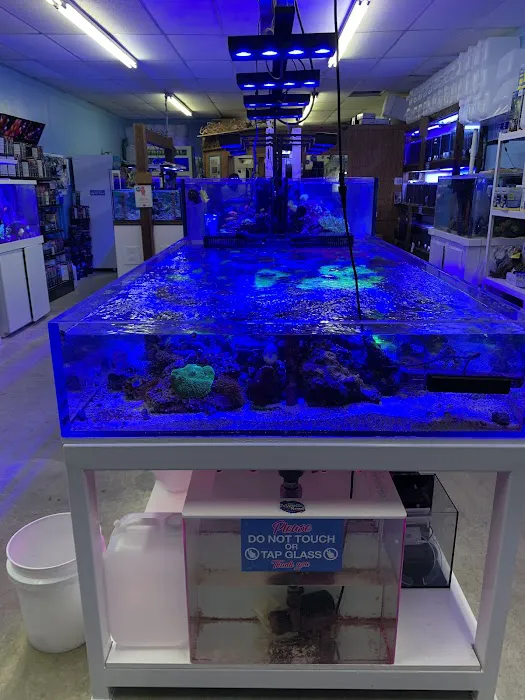 The Mystic Reef Picture 3