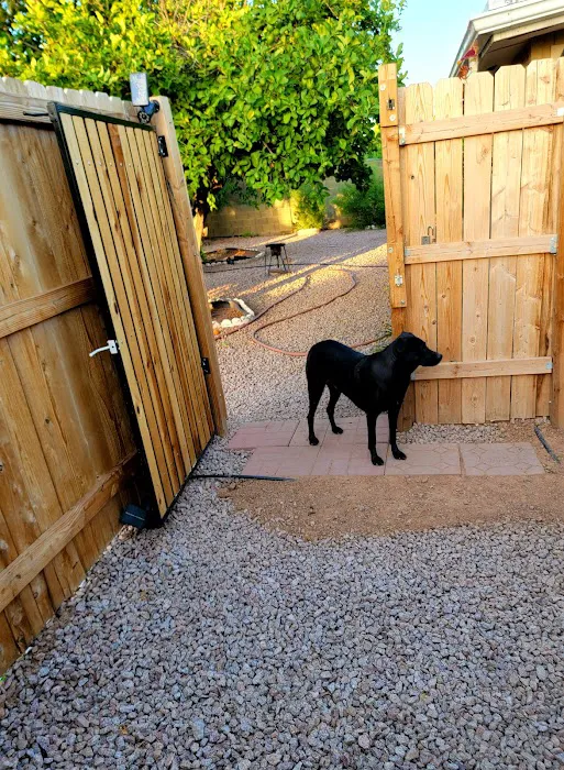 Alta Mesa Animal Hospital Picture 3