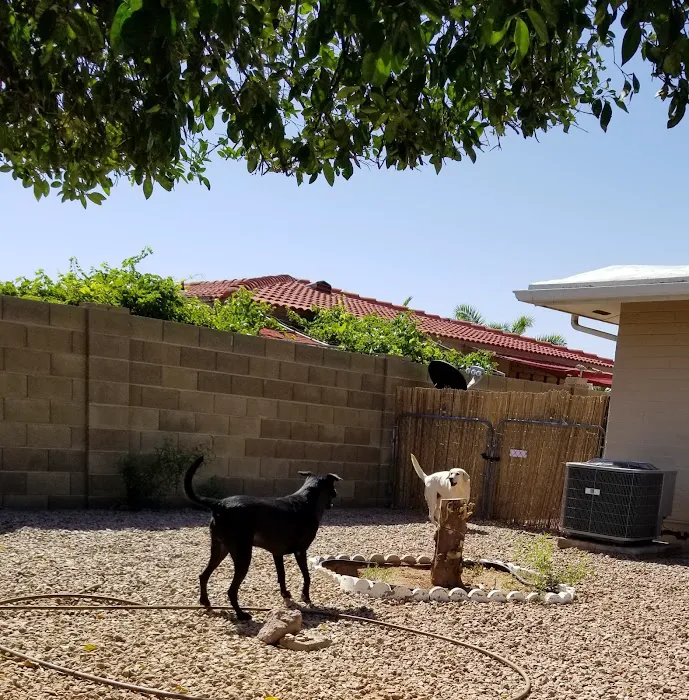 Alta Mesa Animal Hospital Picture 4