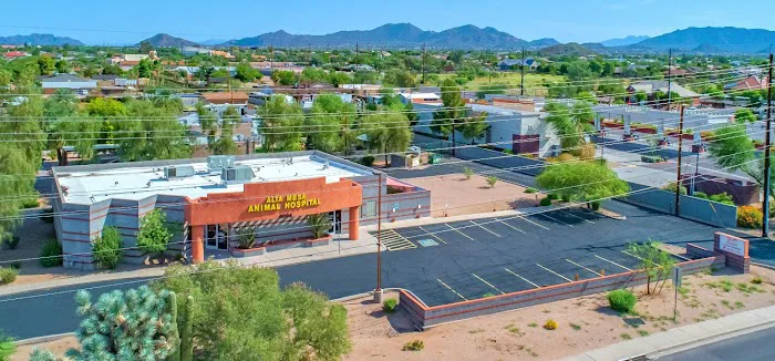 Alta Mesa Animal Hospital Picture 7