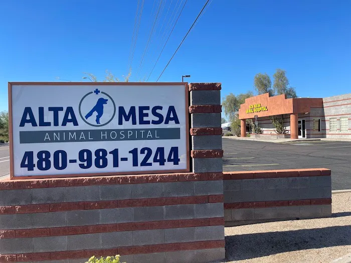 Alta Mesa Animal Hospital Picture 8