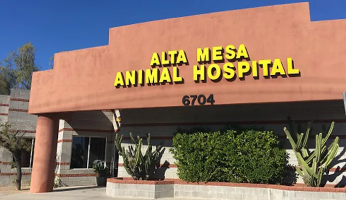Alta Mesa Animal Hospital Picture 9