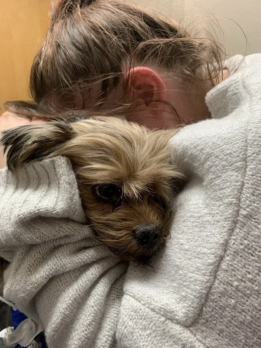 Lovet Pet Health Care - Las Sendas Picture 5