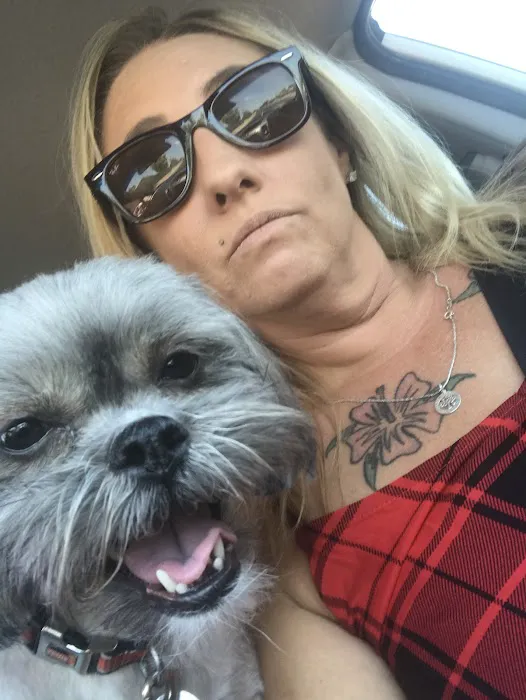Lovet Pet Health Care - Las Sendas Picture 10