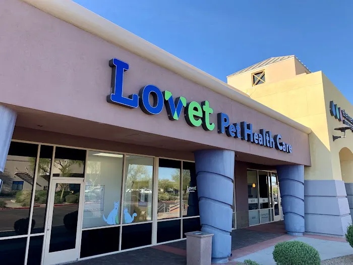 Lovet Pet Health Care - Las Sendas Picture 9