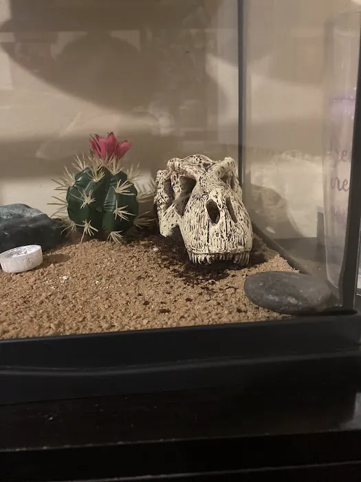 Petco Picture 6