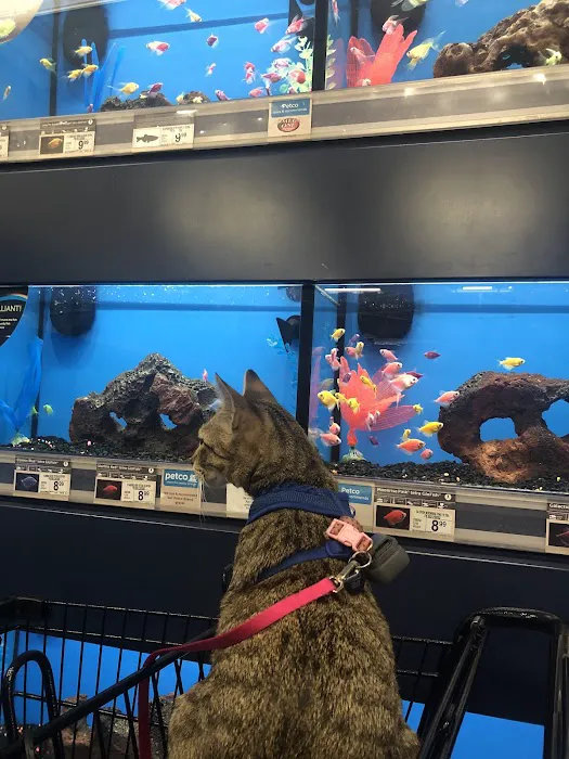 Petco Picture 10