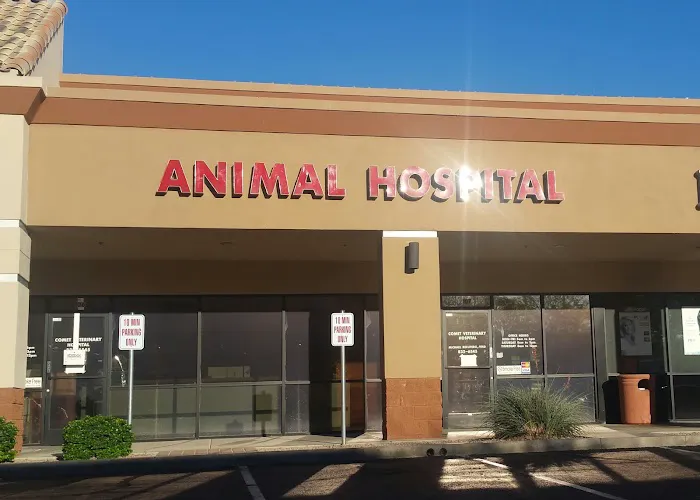 Comet Veterinary Hospital Picture 2