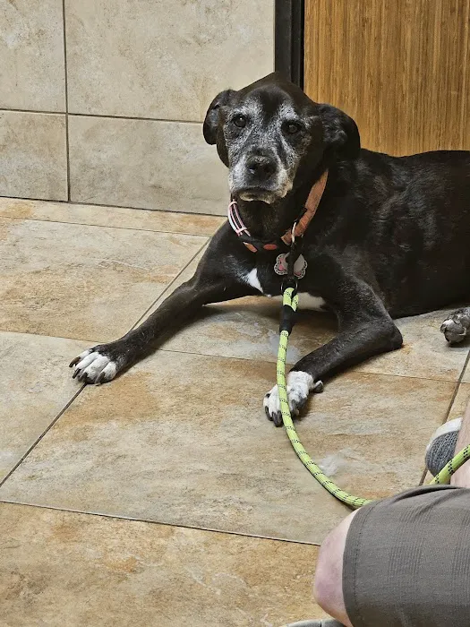 Adobe Veterinary Clinic Picture 4