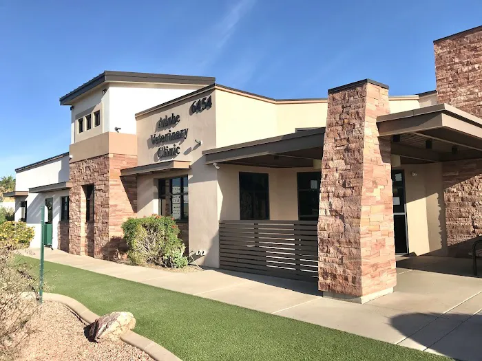 Adobe Veterinary Clinic Picture 10