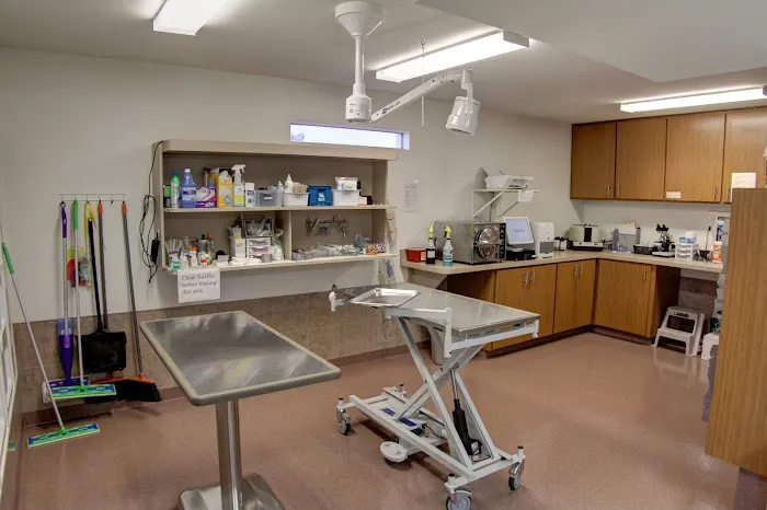 Adobe Veterinary Clinic Picture 6