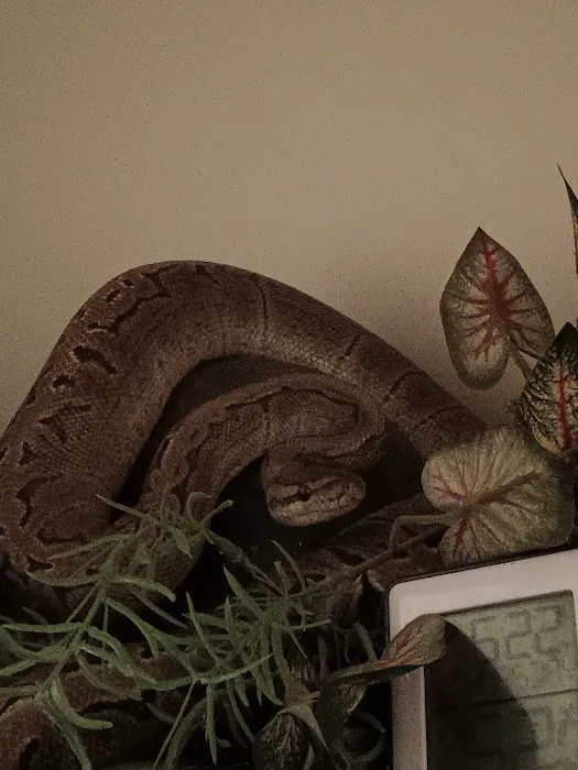 Hutches Clutches Picture 3