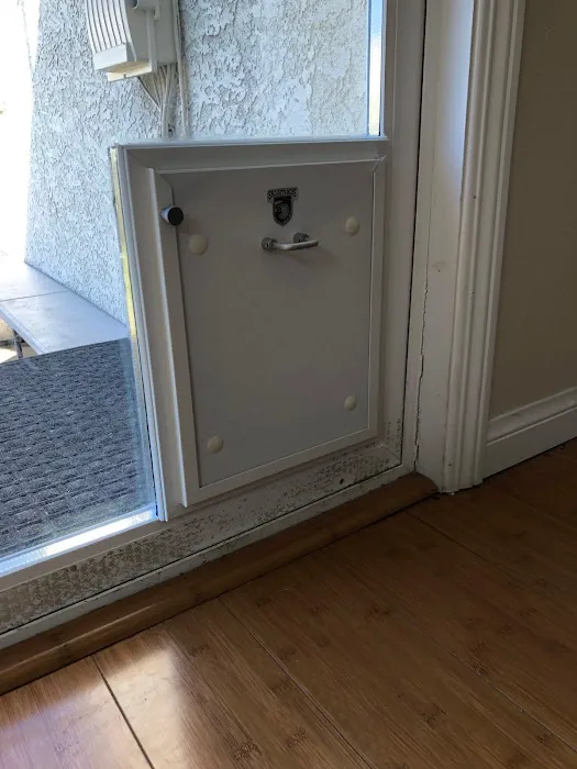 Bella Pet Doors Picture 8