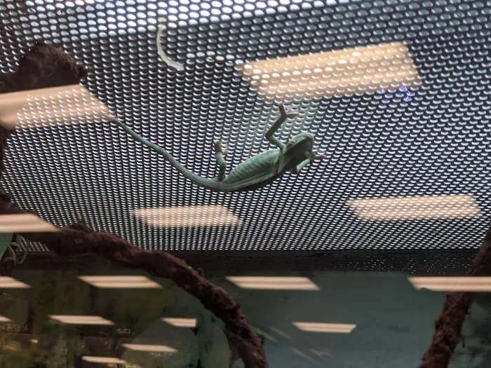 Petco Picture 4