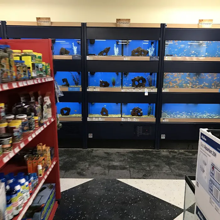 Petco Picture 3
