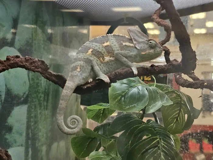 Petco Picture 1