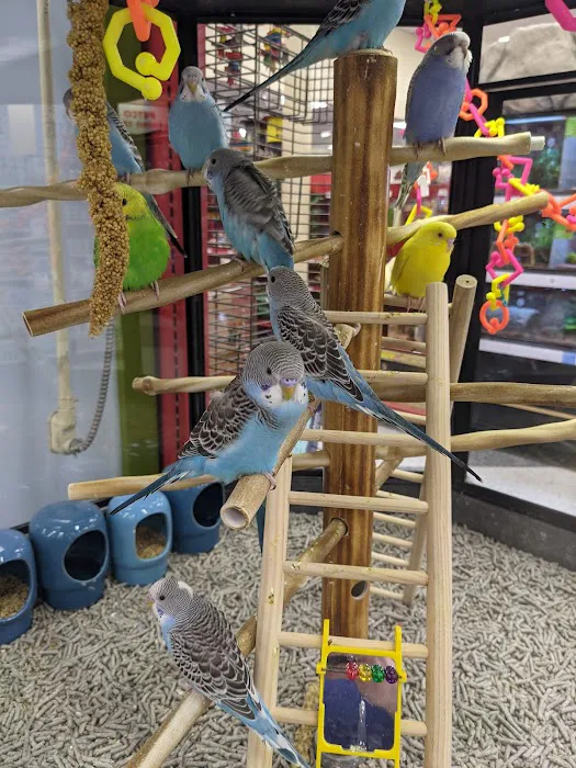 Petco Picture 10